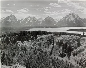 Image description is not available for 2007.040